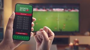 Discover the Excitement of Chachisha Bet 12 Discover the Excitement of Chachisha Bet 12