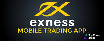 Exploring the Exness Metatrader 4 Web Terminal Features and Benefits Exploring the Exness Metatrader 4 Web Terminal Features and Benefits